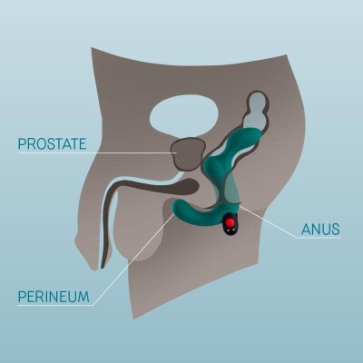 Duke Prostata-Vibrator