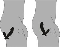 Prostatavibrator Cock-shaped Vibe