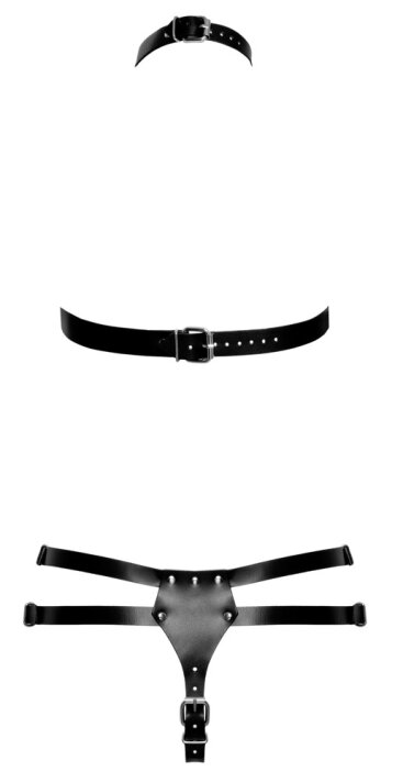 Harness-Set aus Leder