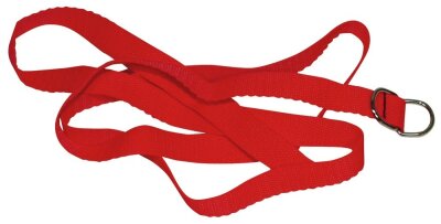 Bondage-Set Red Giant